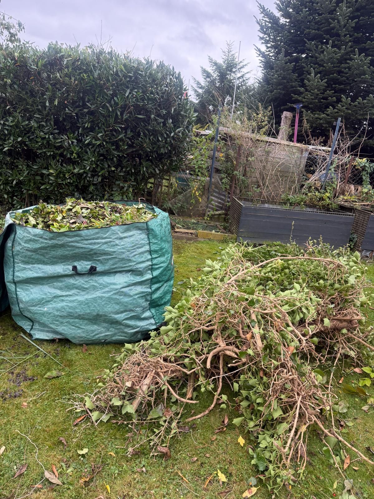 Ein grüner Sack mit Gartenabfällen und ein Haufen abgeschnittener Äste auf einer Rasenfläche im Garten.