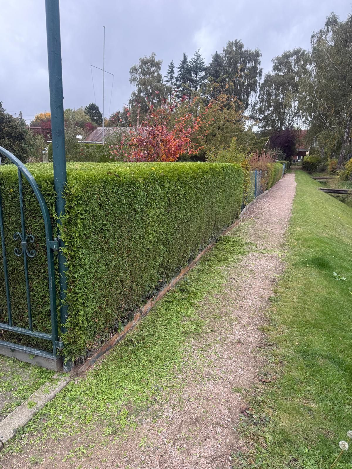 Ein Kiesweg verläuft entlang einer gestutzten grünen Hecke in einem Garten. Bewölkter Himmel.